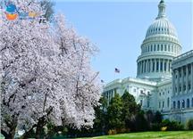 Hành Trình 12N11Đ Đông Tây Hoa Kỳ Mùa Hoa Anh Đào 2026